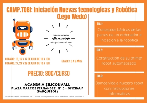 campamento robotica verano siliconvall valladolid